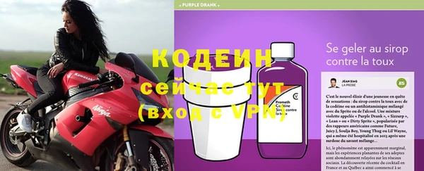 индика Верея