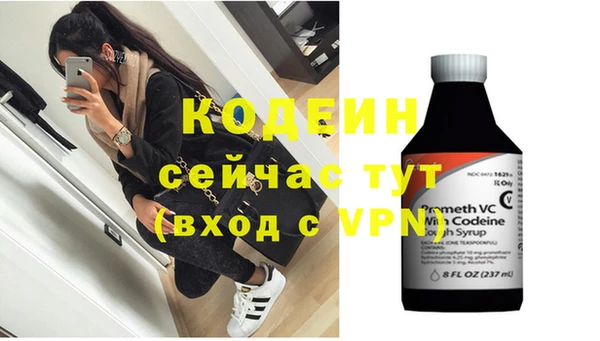 индика Верея