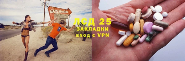 индика Верея