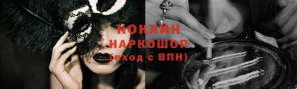 индика Верея