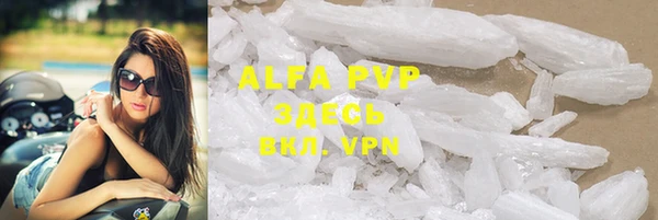 индика Верея