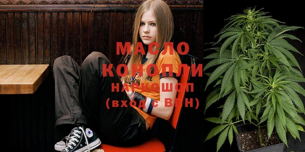 индика Верея