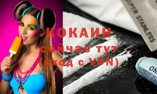 индика Верея