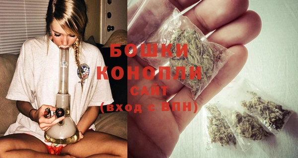 индика Верея