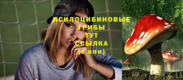 скорость Бородино